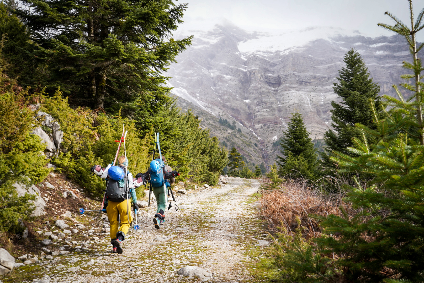 Depart a pied en foret, tzoumerka — secteur theodoriana, lors d’une itinérance à ski en Grèce.